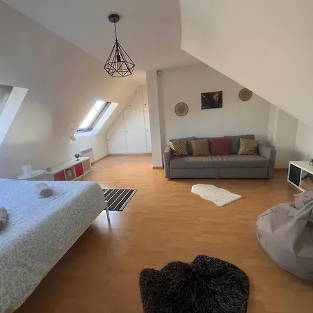 Stras' Appartement Straatsburg